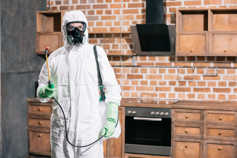 How To Prevent Pests From Invading Your Home